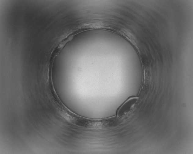 X0000073990301200609061005