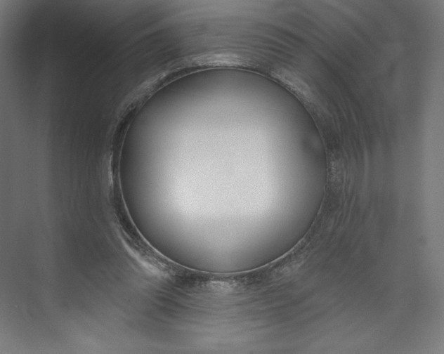 X0000073990302200609061005