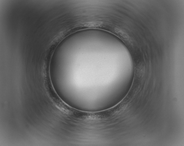 X0000073990303200609061005