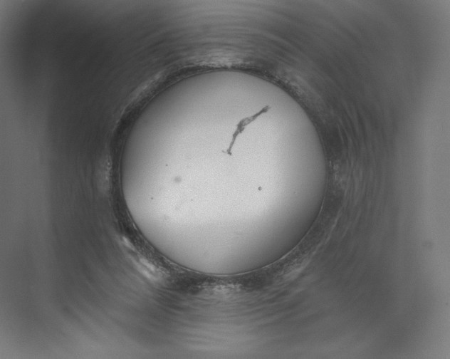 X0000073990304200609061004