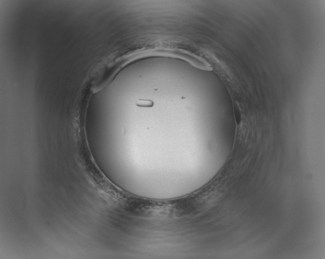 X0000073990306200609061004