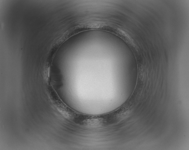 X0000073990307200609061004