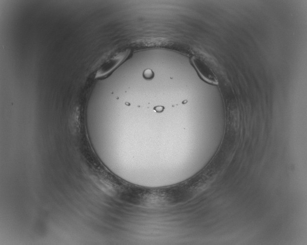 X0000073990308200609061004