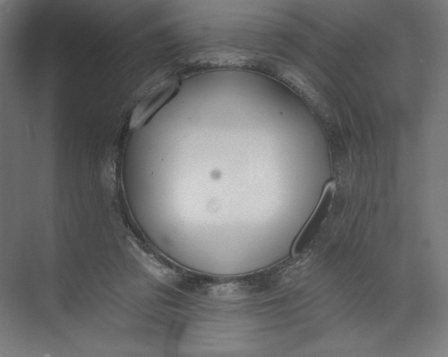 X0000073990309200609061004