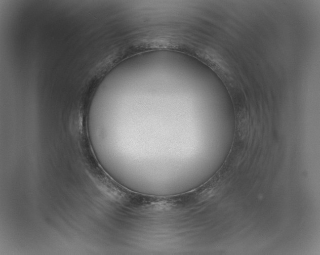 X0000073990310200609061004