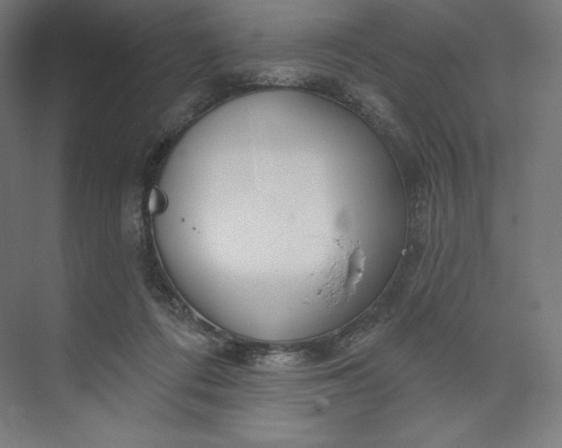 X0000073990312200609061004