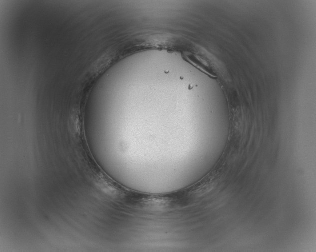 X0000073990313200609061004