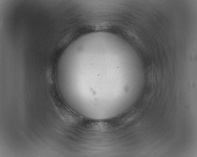 X0000073990316200609061004