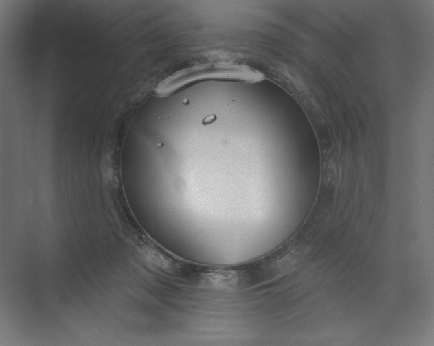 X0000073990317200609061004