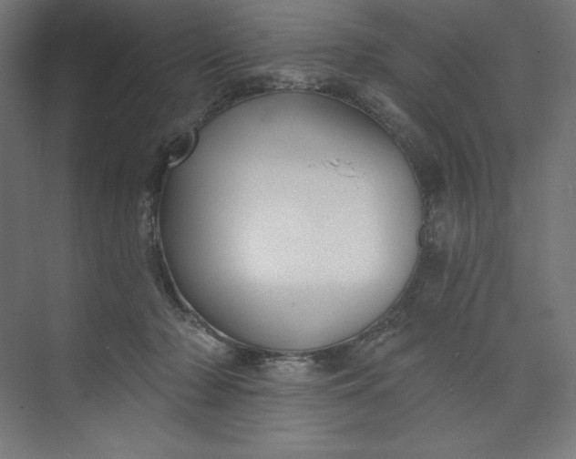 X0000073990318200609061004