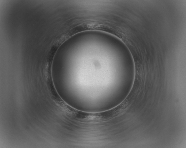 X0000073990319200609061004