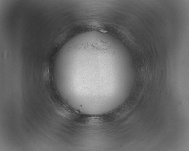 X0000073990320200609061004