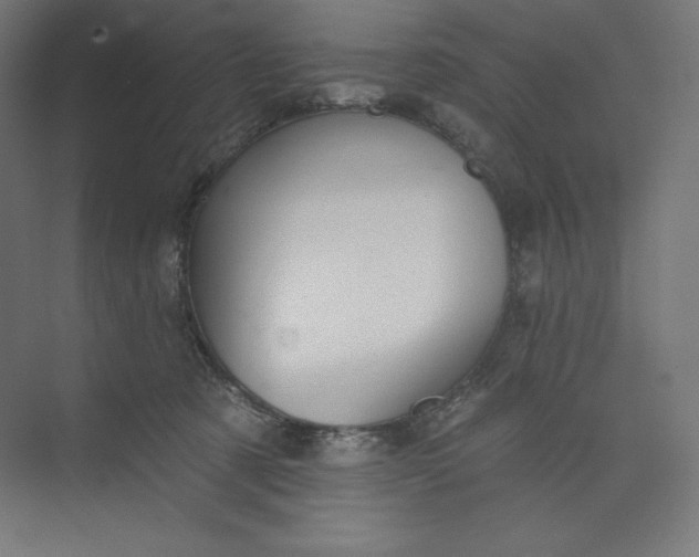 X0000073990321200609061004