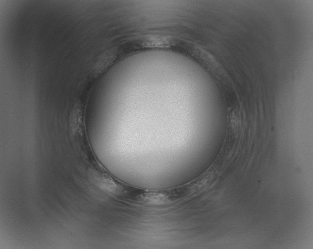 X0000073990322200609061004