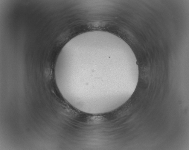 X0000073990324200609061004