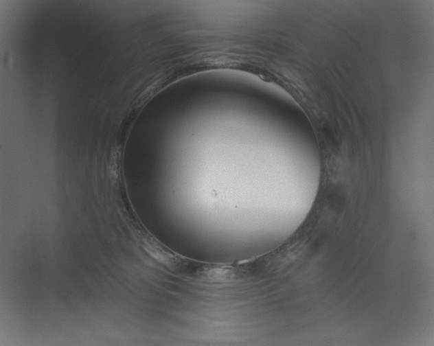 X0000073990325200609061004