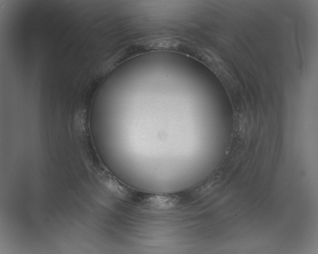 X0000073990326200609061004