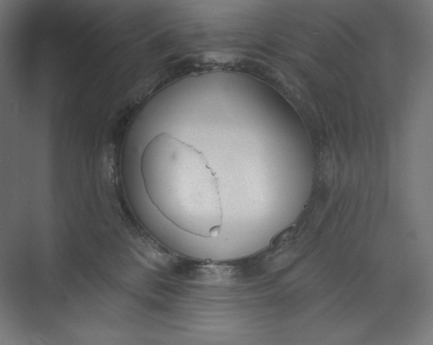 X0000073990328200609061004