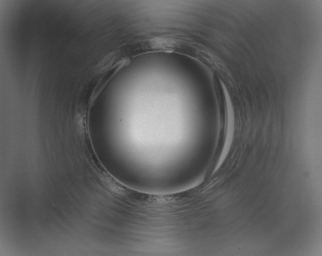 X0000073990329200609061004