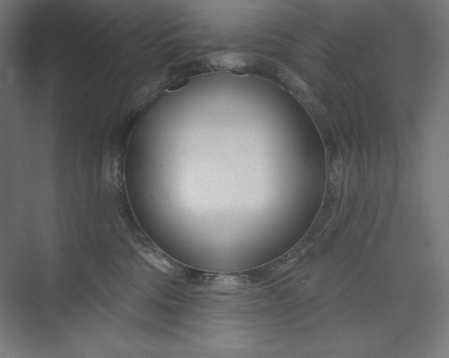 X0000073990330200609061004