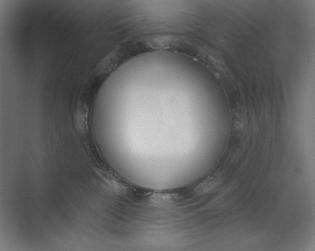 X0000073990332200609061004