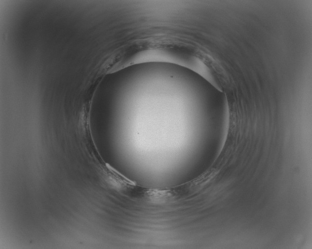 X0000073990333200609061004