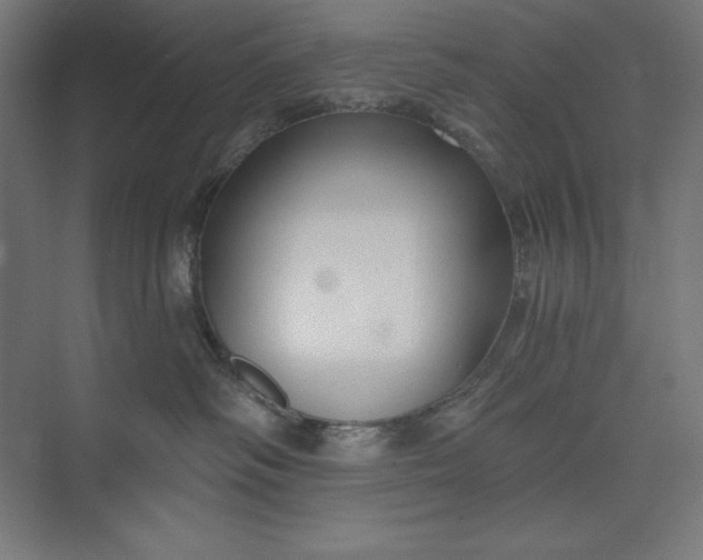 X0000073990334200609061004