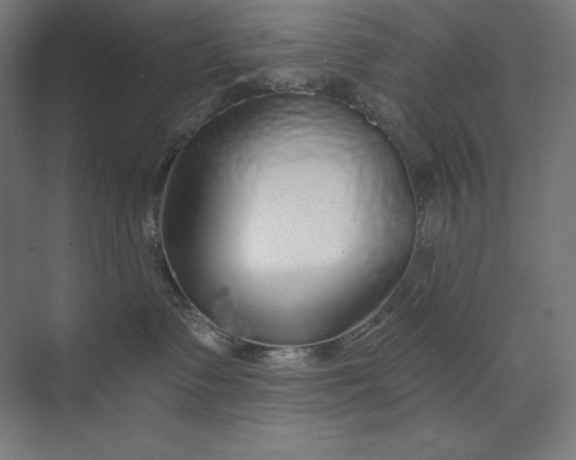 X0000073990335200609061004