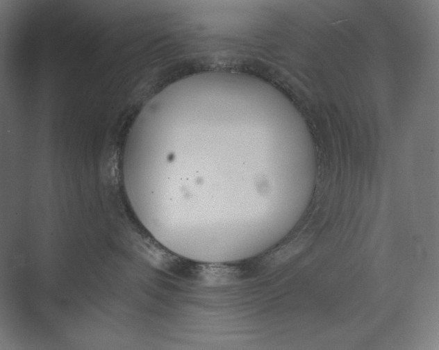 X0000073990336200609061004