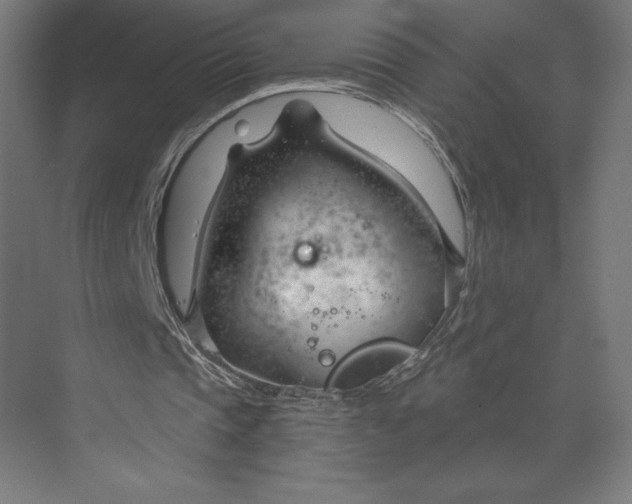 X0000073990337200609061003