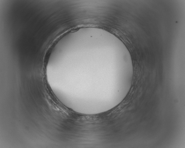 X0000073990338200609061003