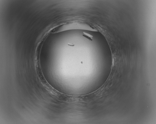 X0000073990339200609061003