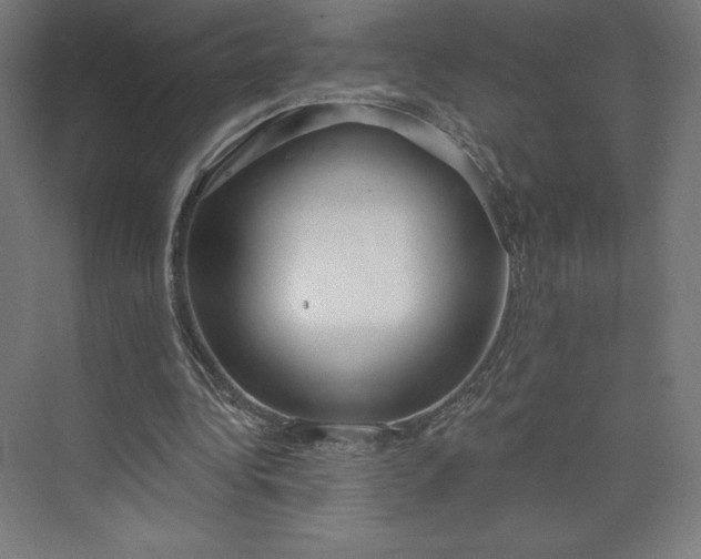 X0000073990340200609061003