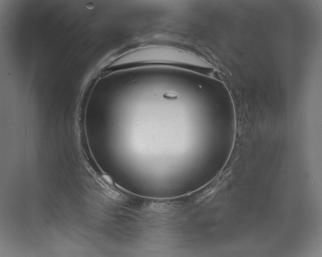 X0000073990341200609061003