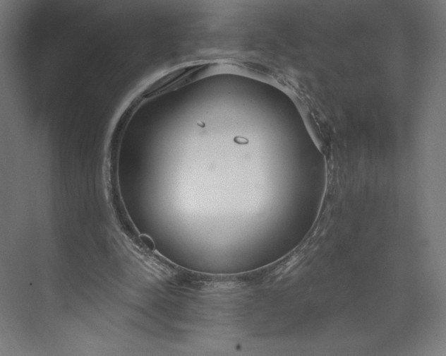 X0000073990342200609061003