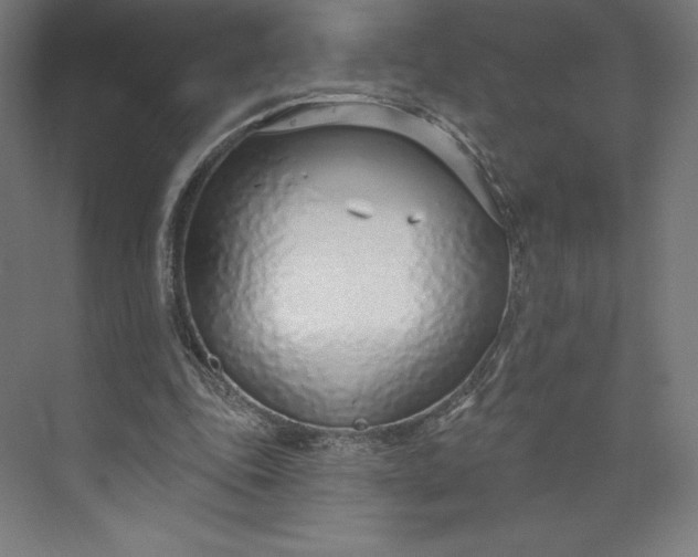 X0000073990343200609061003