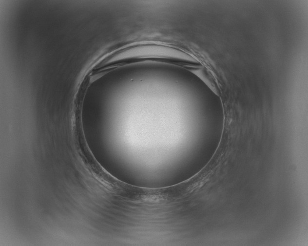 X0000073990344200609061003