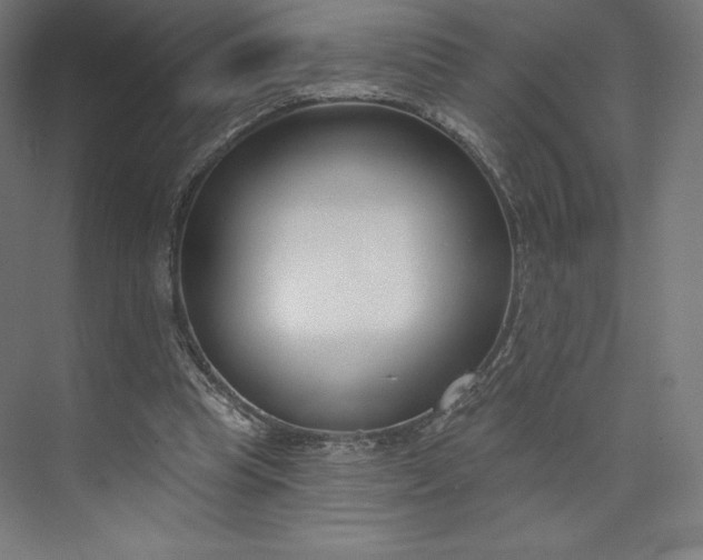 X0000073990345200609061003