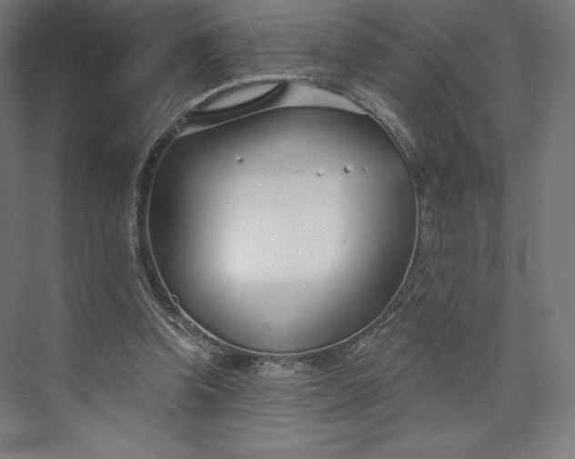 X0000073990346200609061003