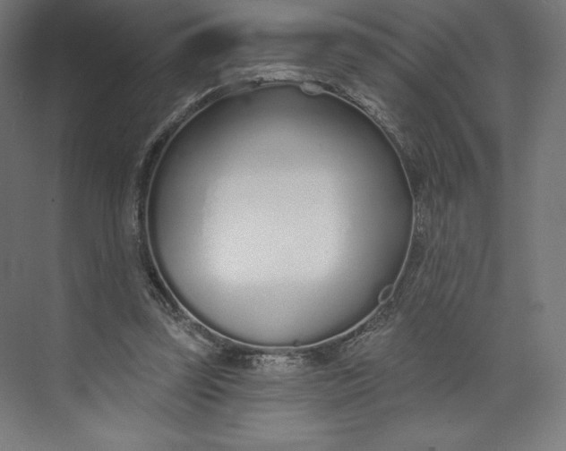 X0000073990347200609061003