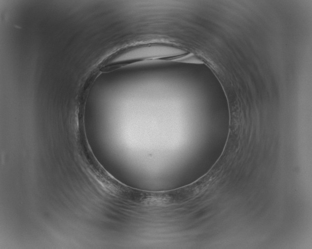 X0000073990350200609061003