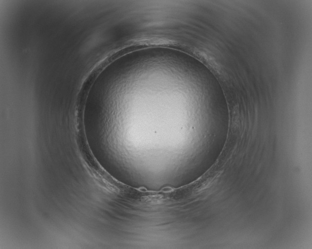 X0000073990351200609061003