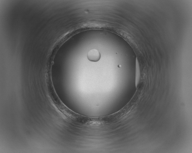 X0000073990352200609061003