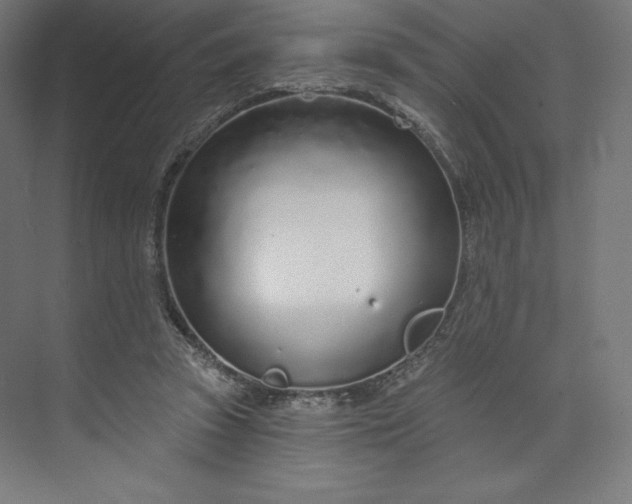 X0000073990353200609061003