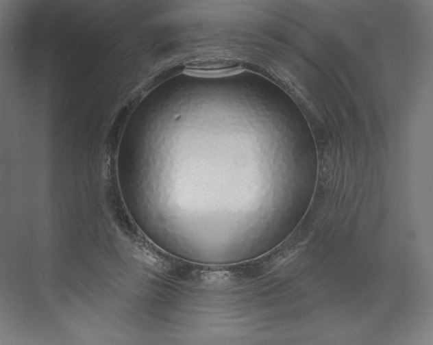 X0000073990355200609061003