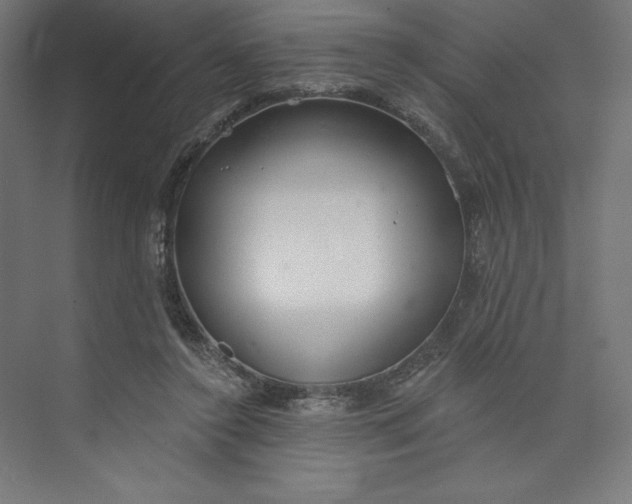 X0000073990356200609061003