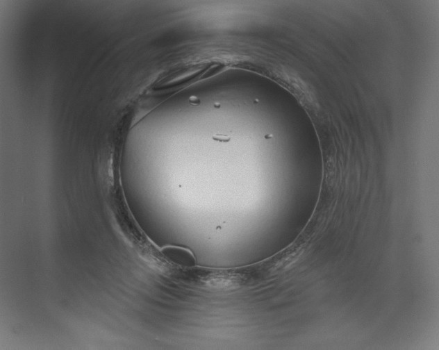 X0000073990358200609061003