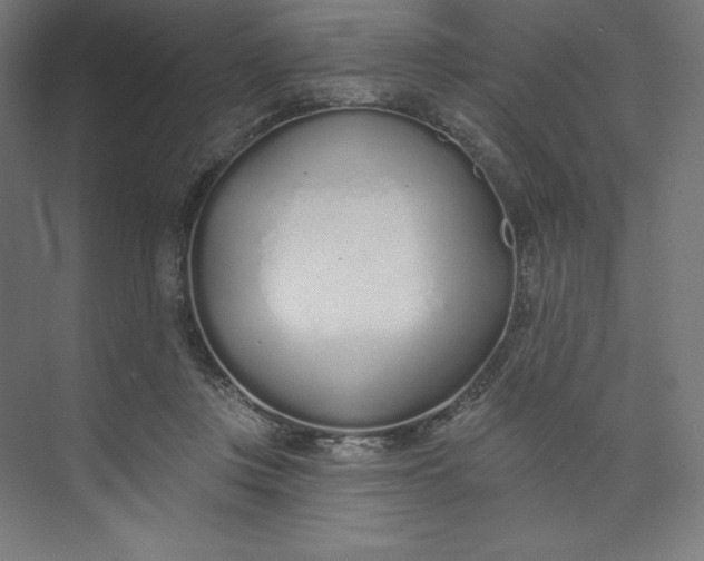 X0000073990359200609061004