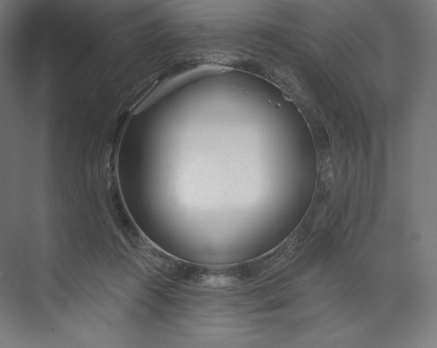 X0000073990360200609061004