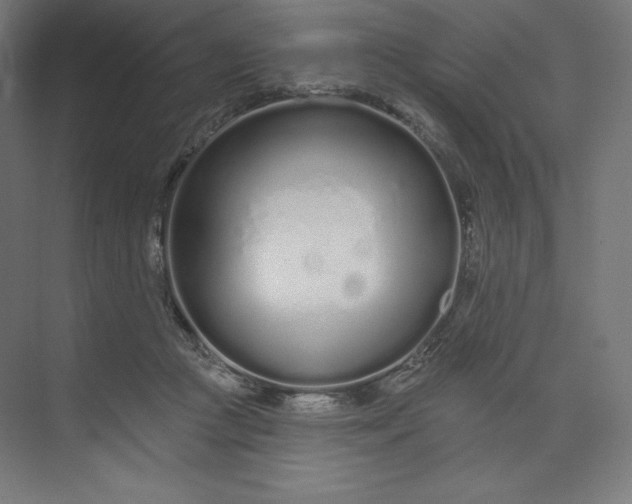 X0000073990361200609061004